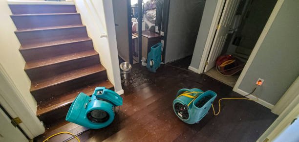 Best Flood damage cleanup  in Winchester, VA